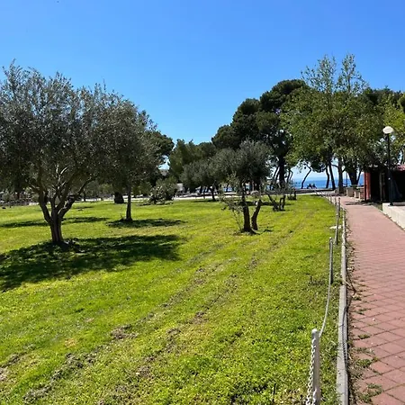Aron * Makarska